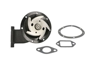 Water Pump, engine cooling THERMOTEC WP-RV119