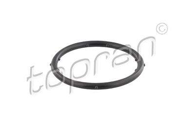 Gasket, coolant flange TOPRAN 100 721