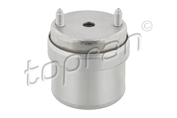 TOPRAN 107 976 Mounting, engine