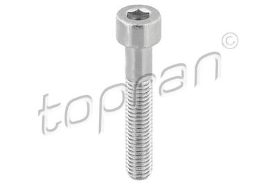 Bolt, brake caliper TOPRAN 110 708