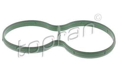 Gasket, intake manifold TOPRAN 113 199