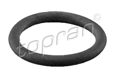Sealing Ring, refrigerant line TOPRAN 113 947