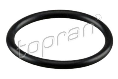 Sealing Ring, refrigerant line TOPRAN 114 052