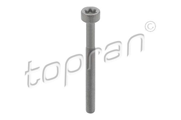 TOPRAN 410 287 Screw, injection nozzle holder