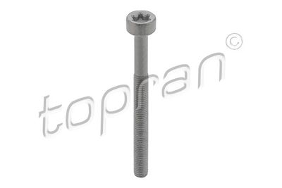 Screw, injection nozzle holder TOPRAN 410 287