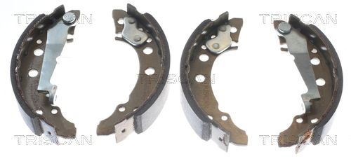 TRISCAN 8100 29001 Brake Shoe Set