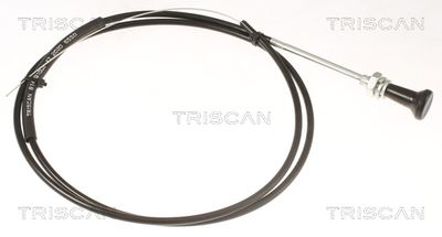 Choke Shaft, carburettor TRISCAN 8140 91002