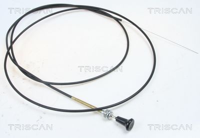 Choke Shaft, carburettor TRISCAN 8140 91004