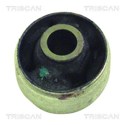 TRISCAN 8500 10800 Mounting, control/trailing arm