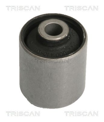 TRISCAN 8500 10810 Bushing, axle beam