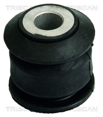 TRISCAN 8500 10829 Mounting, control/trailing arm