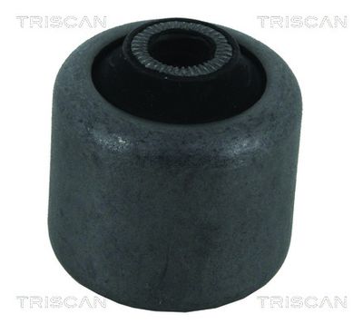 Mounting, control/trailing arm TRISCAN 8500 11820
