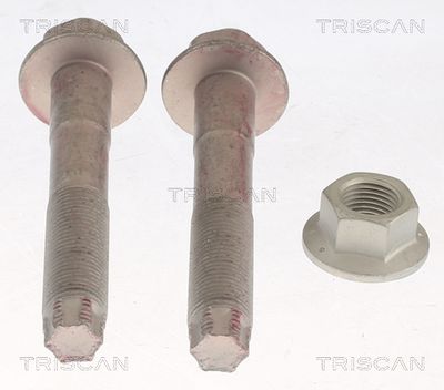 Repair Kit, wheel suspension TRISCAN 8500 13401