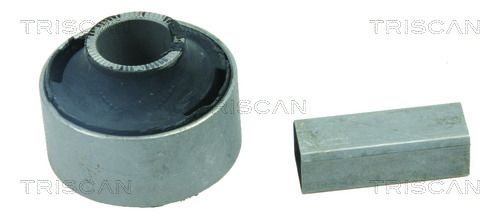 TRISCAN 8500 13800 Mounting, control/trailing arm