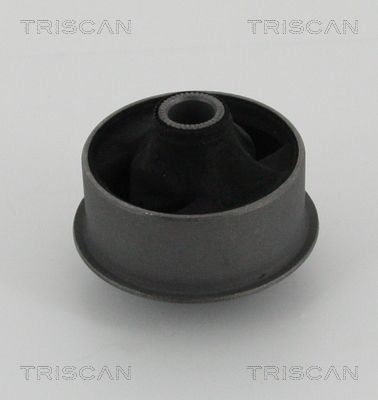TRISCAN 8500 13834 Mounting, control/trailing arm