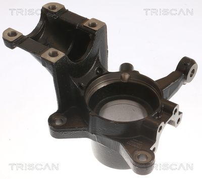 Steering Knuckle, wheel suspension TRISCAN 8500 15701