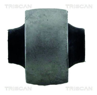 TRISCAN 8500 16806 Mounting, control/trailing arm