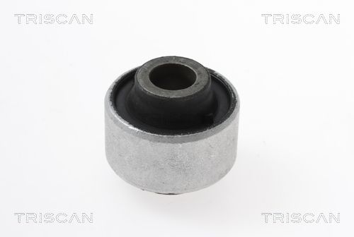 TRISCAN 8500 25861 Mounting, control/trailing arm