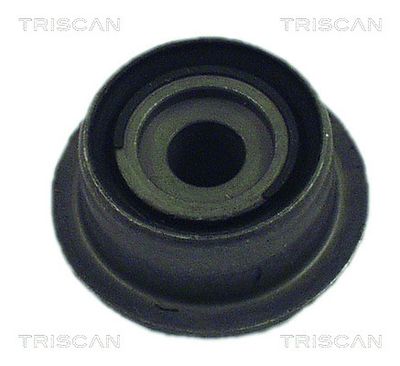 Bushing, axle beam TRISCAN 8500 28817