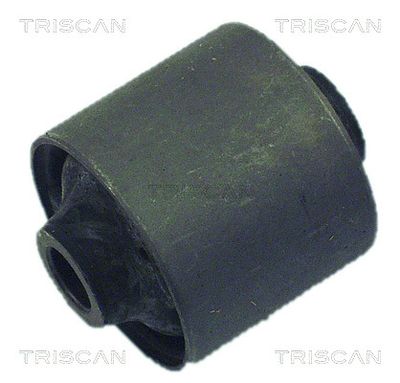 Mounting, control/trailing arm TRISCAN 8500 28821
