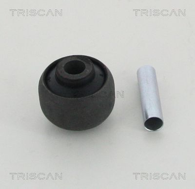 Mounting, control/trailing arm TRISCAN 8500 29813