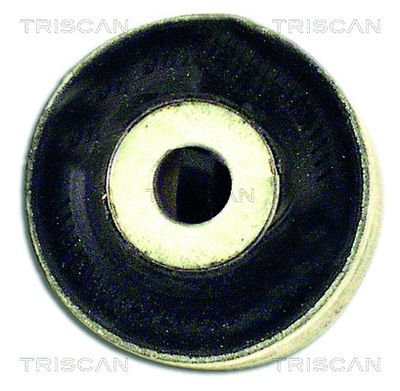 Mounting, control/trailing arm TRISCAN 8500 29845