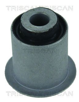 Mounting, control/trailing arm TRISCAN 8500 40802