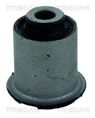 TRISCAN 8500 43804 Mounting, control/trailing arm