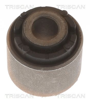 TRISCAN 8500 43863 Mounting, control/trailing arm