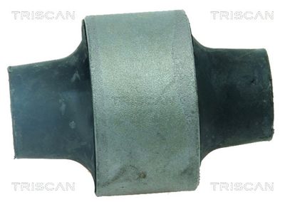 Mounting, control/trailing arm TRISCAN 8500 50805
