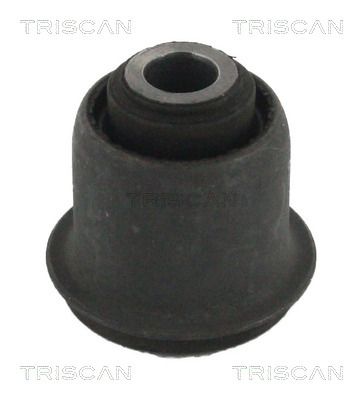 TRISCAN 8500 50823 Mounting, control/trailing arm