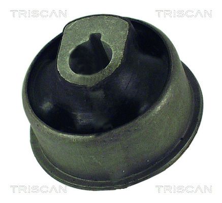 TRISCAN 8500 65828 Mounting, control/trailing arm