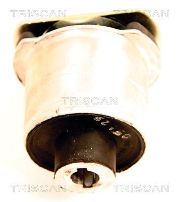Bushing, axle beam TRISCAN 8500 65834