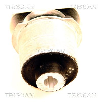 Bushing, axle beam TRISCAN 8500 65835