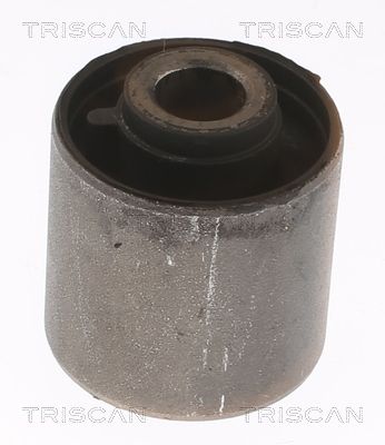 TRISCAN 8500 68811 Mounting, control/trailing arm