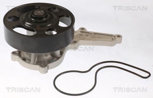 TRISCAN 8600 40019 Water Pump, engine cooling