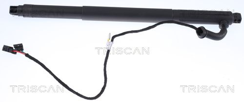 TRISCAN 8710 11301 Gas Spring, boot/cargo area