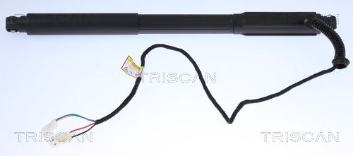 TRISCAN 8710 11304 Gas Spring, boot/cargo area