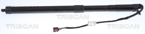 TRISCAN 8710 17303 Gas Spring, boot/cargo area