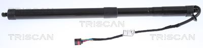 Gas Spring, boot/cargo area TRISCAN 8710 17303