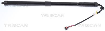 Gas Spring, boot/cargo area TRISCAN 8710 17305