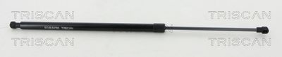 Gas Spring, boot/cargo area TRISCAN 8710 20208