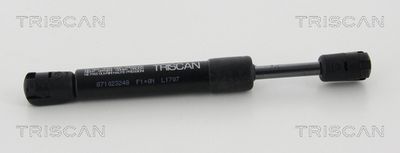 Gas Spring, boot/cargo area TRISCAN 8710 23248