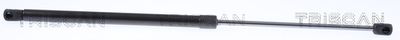 Gas Spring, boot/cargo area TRISCAN 8710 23297