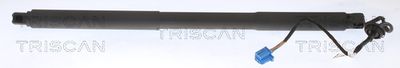 Gas Spring, boot/cargo area TRISCAN 8710 23301