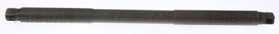 Gas Spring, boot/cargo area TRISCAN 8710 23305