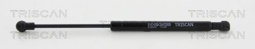 TRISCAN 8710 24253 Gas Spring, rear window