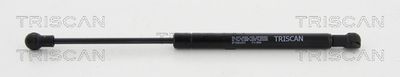 Gas Spring, rear window TRISCAN 8710 24253