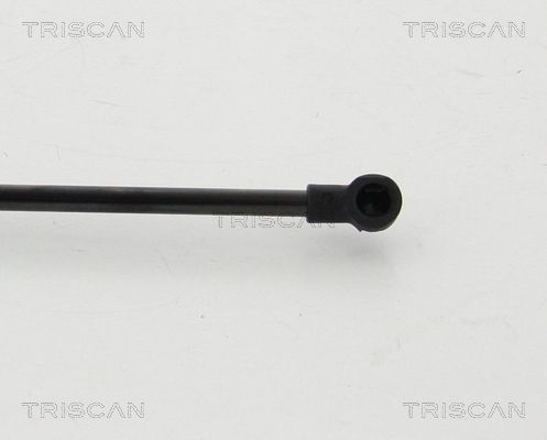 TRISCAN 8710 24254 Gas Spring, boot/cargo area