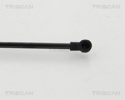 Gas Spring, boot/cargo area TRISCAN 8710 24254